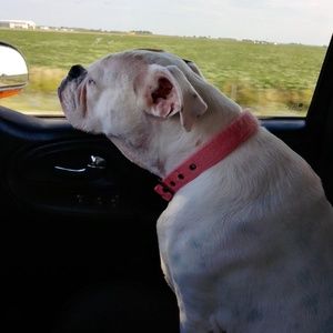 Meet your Posher, Barb